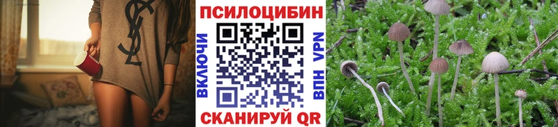 Псилоцибиновые грибы Psilocybine cubensis  Волхов 