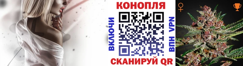 купить   Волхов  Бошки марихуана Bruce Banner 